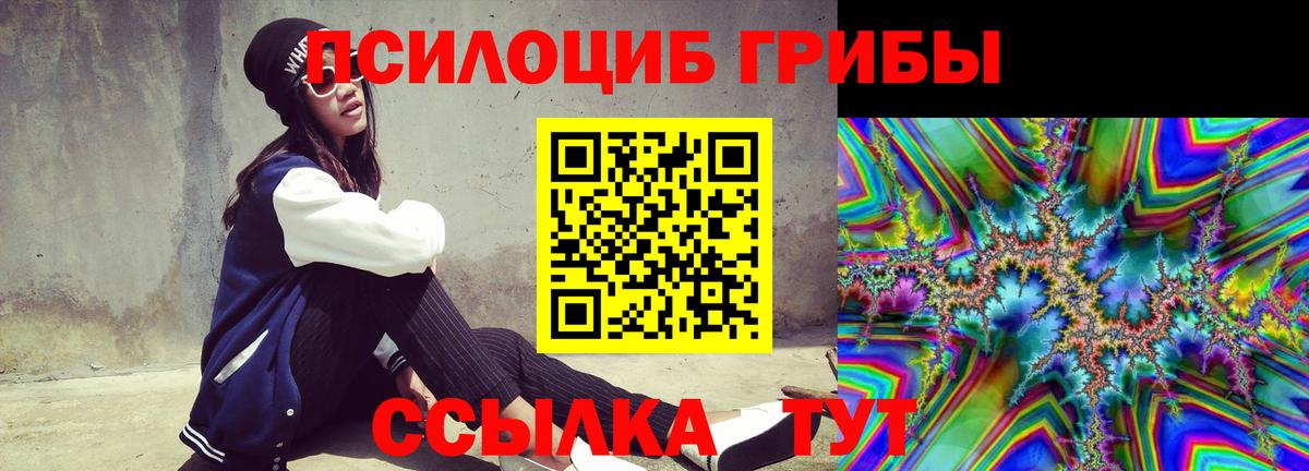 Галлюциногенные грибы Cubensis  Галлюциногенные грибы мицелий  Прохладный  Вход с VPN 