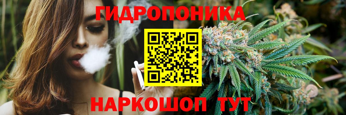Прохладный  Каннабис гибрид  Бошки марихуана OG Kush  Вход с VPN 